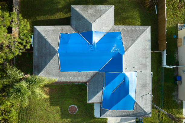 Best Roof Ventilation Installation  in Waterloo, NE