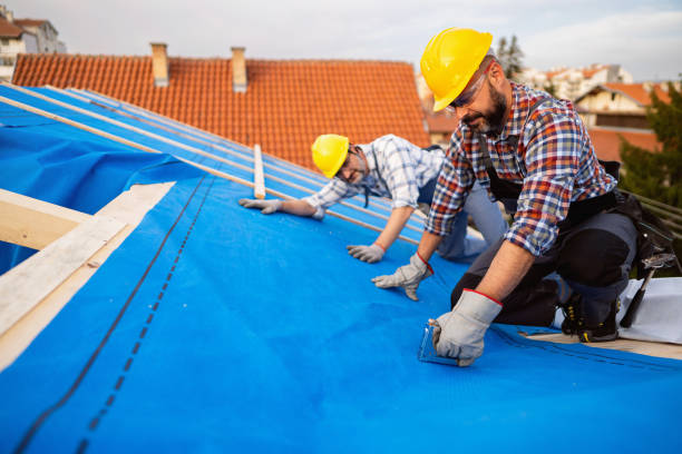 Best Roof Insulation Installation  in Waterloo, NE