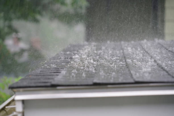 Trusted Waterloo, NE Roofing Service Experts