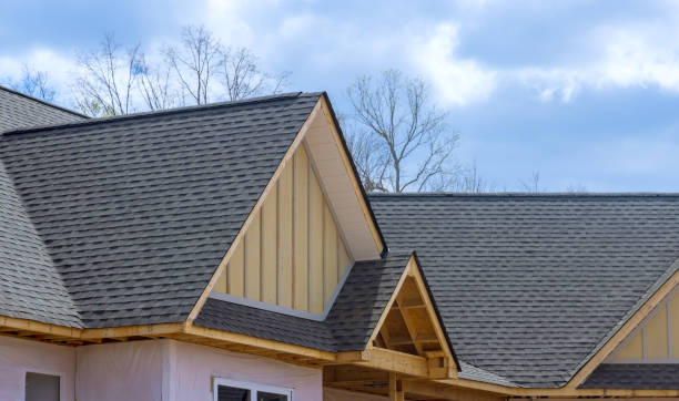 Best Rubber Roofing (EPDM, TPO)  in Waterloo, NE