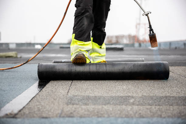 Best Roof Maintenance and Cleaning  in Waterloo, NE