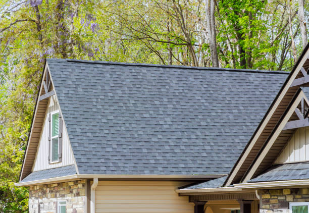 Best Sheet Metal Roofing  in Waterloo, NE